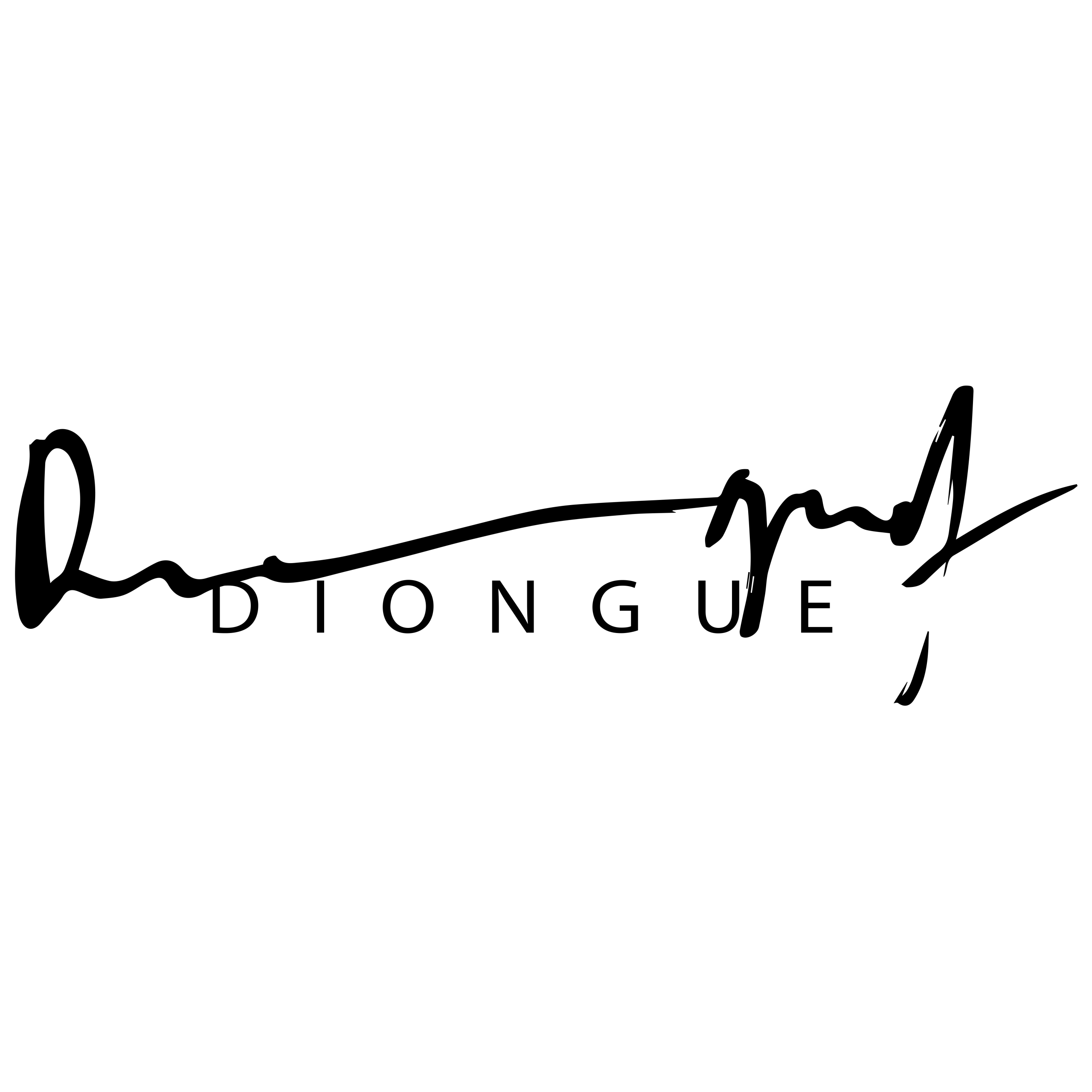 DIONGUE STUDIO
